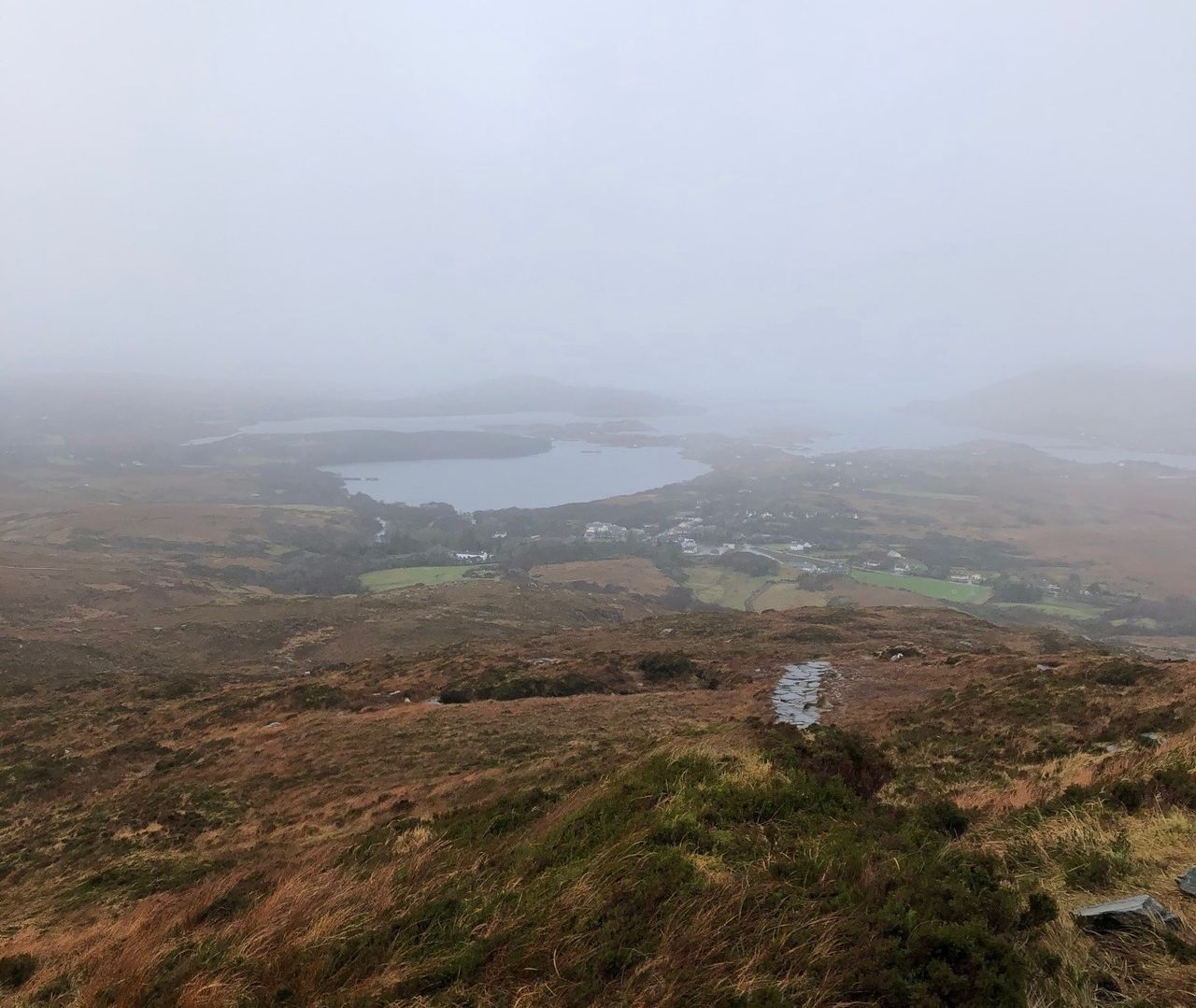 Biodiversity - hunting invaders from Connemara