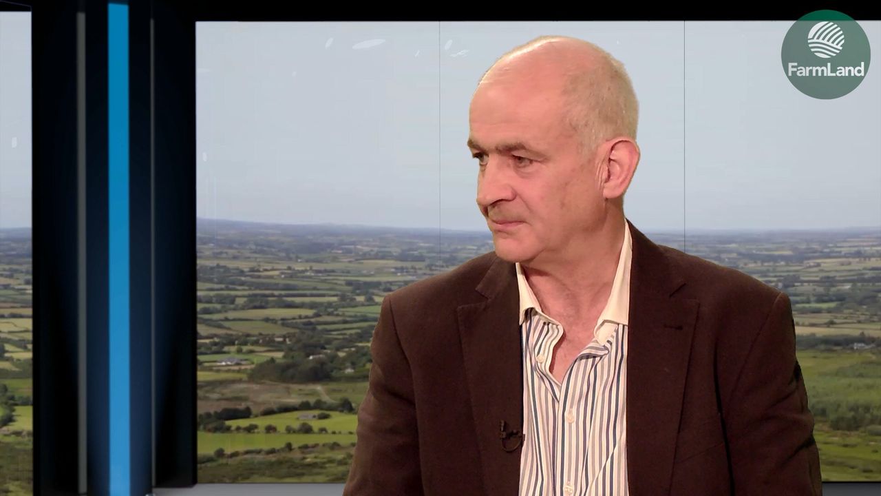 'IFA needs structure to help farmers - not protect staff'