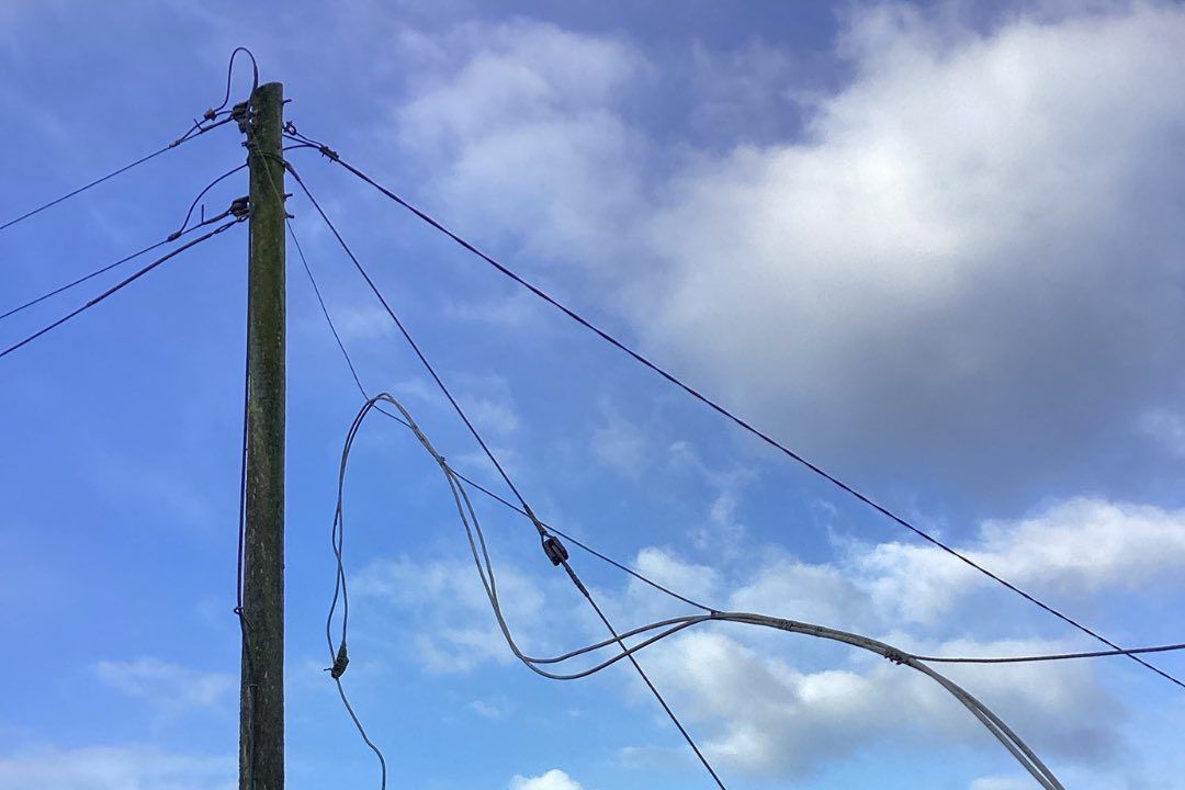 Farms among 18,000 premises without power after high winds