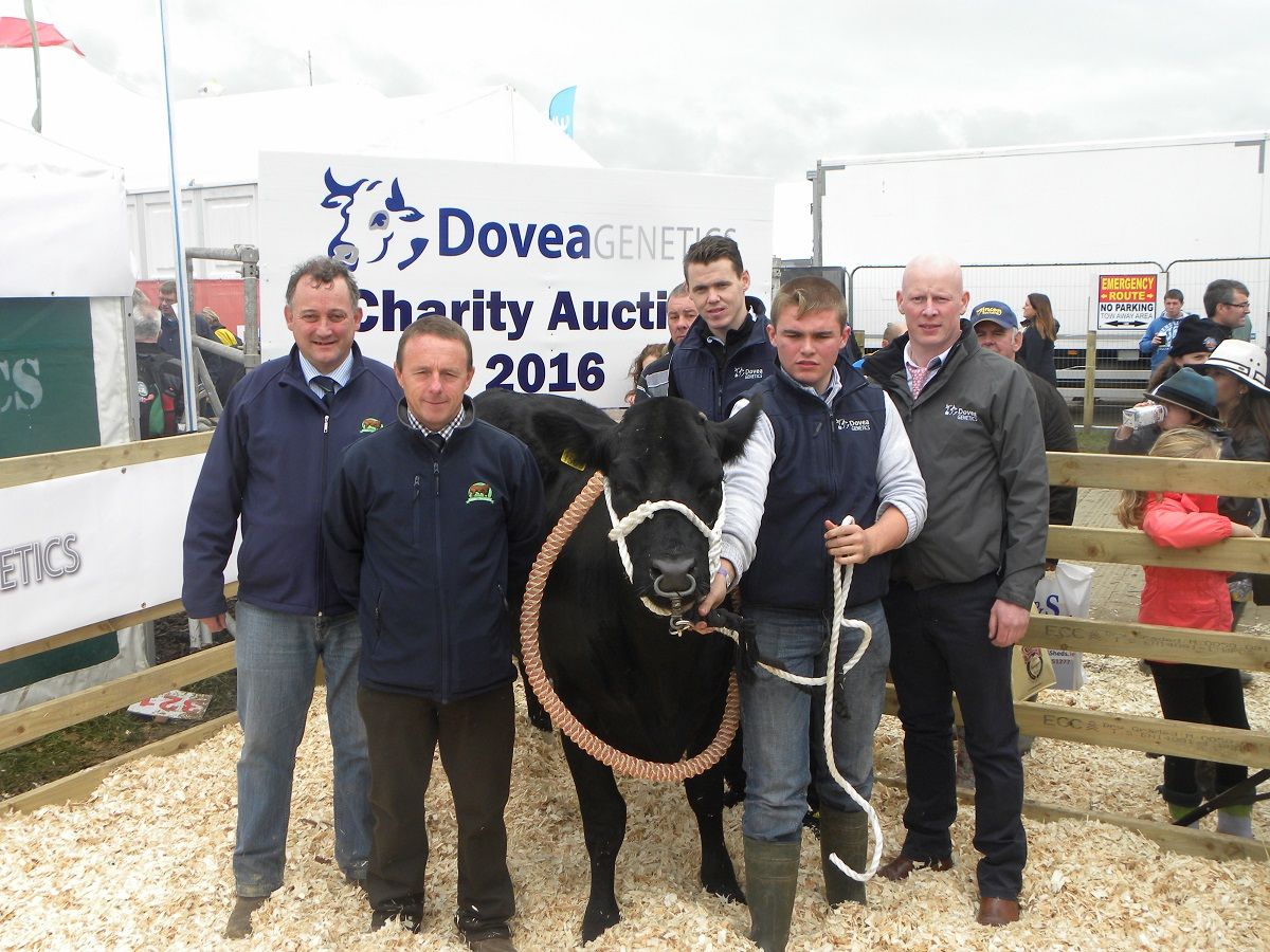 Dovea Genetics heifer auction raises over €16,000 for Bothar