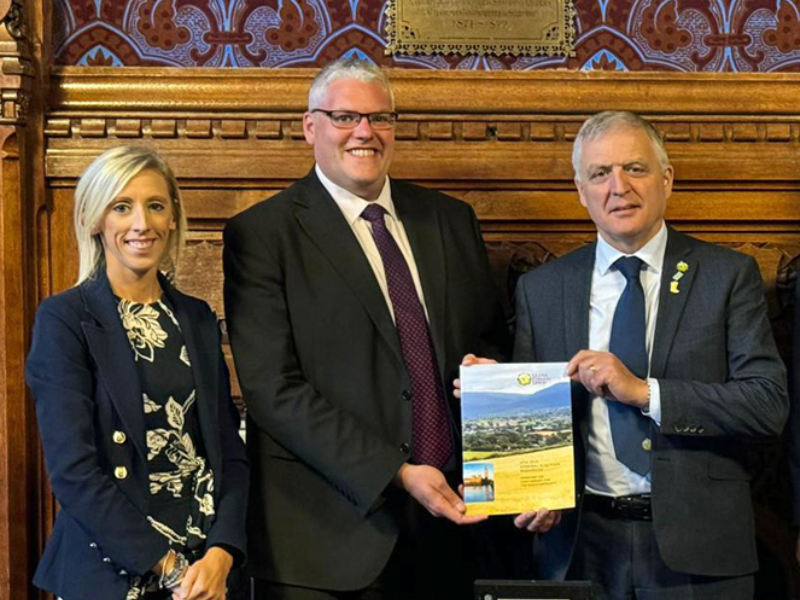 Direct payment 'isn't enough to sustain farm businesses' - Lockhart MP