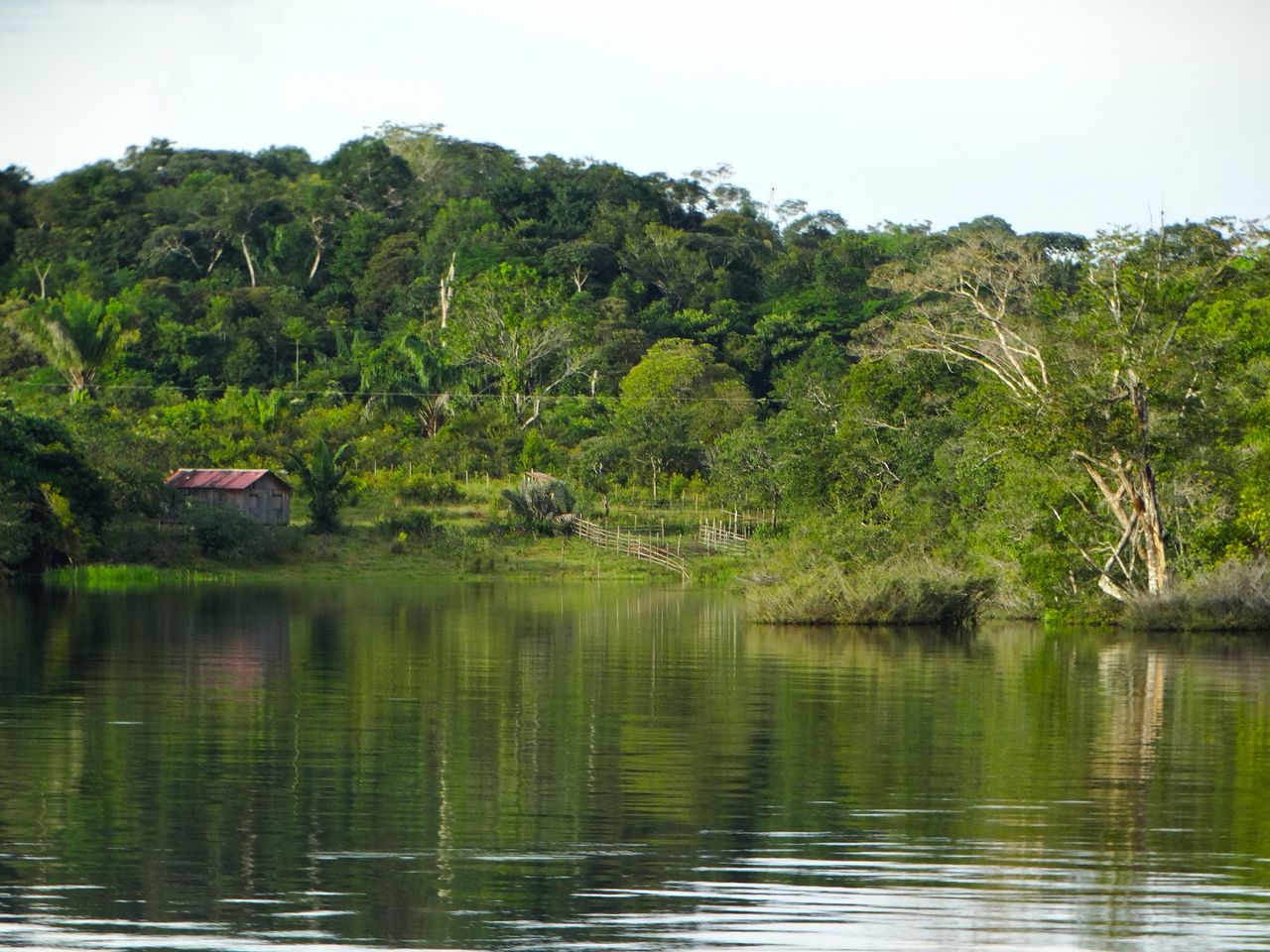 Study: Increased agriculture contributes to surface water decline in Brazil
