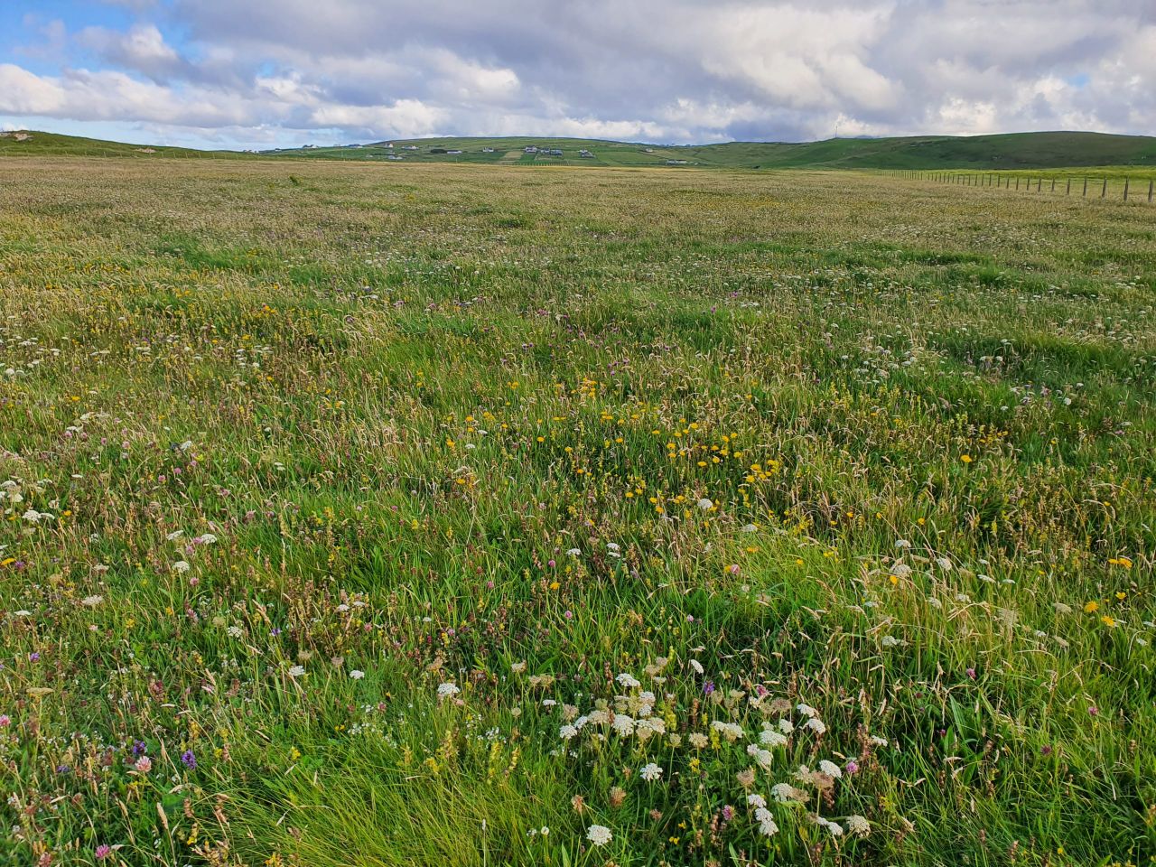 €7.4m for project to improve the conservation condition of Ireland’s machair habitats