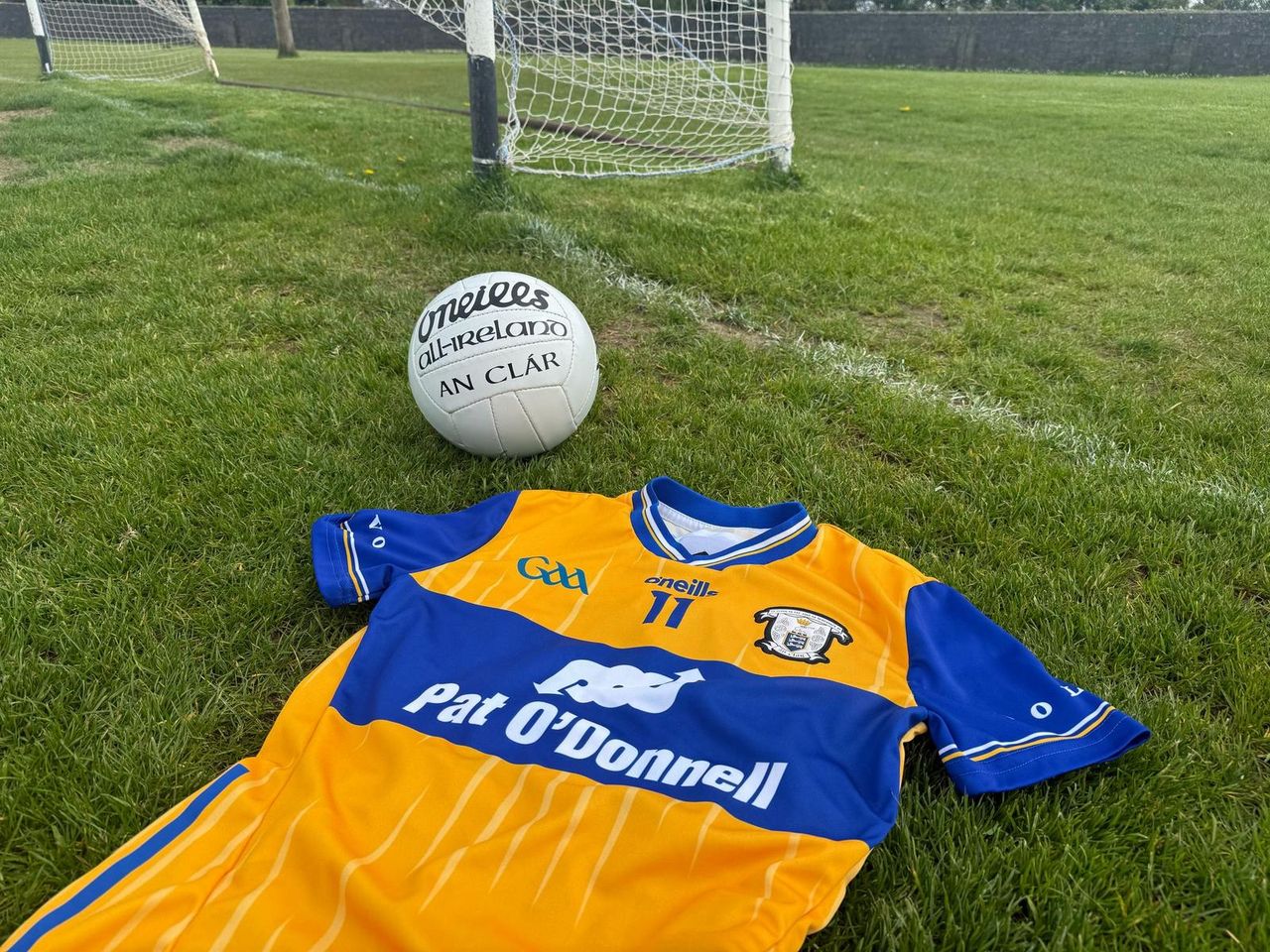 Clare GAA appoints dairy farmer as demographics officer