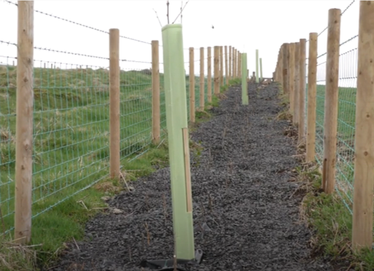 Could you be one of NI's first Environmental Technology Farms?