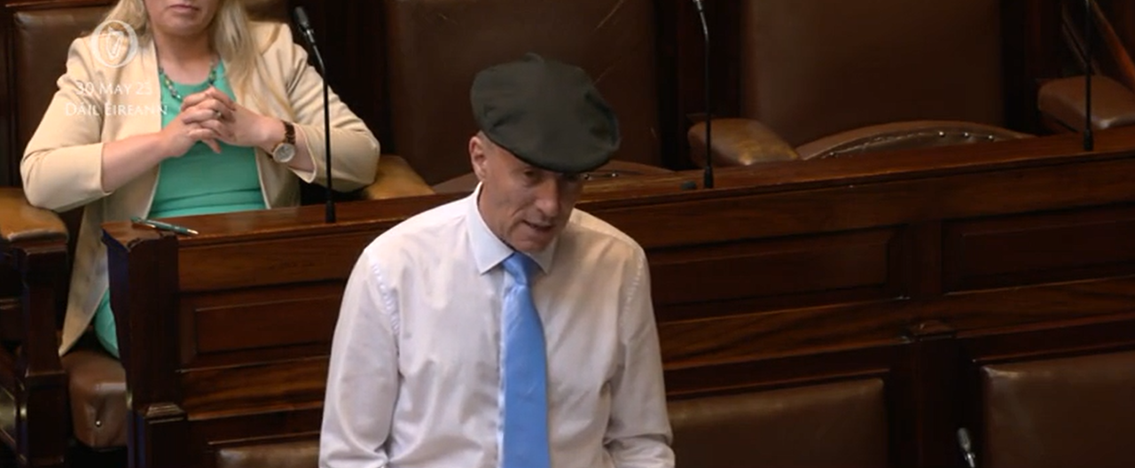 Watch: Healy-Rae says Ireland needs to 'grow' its forestry industry