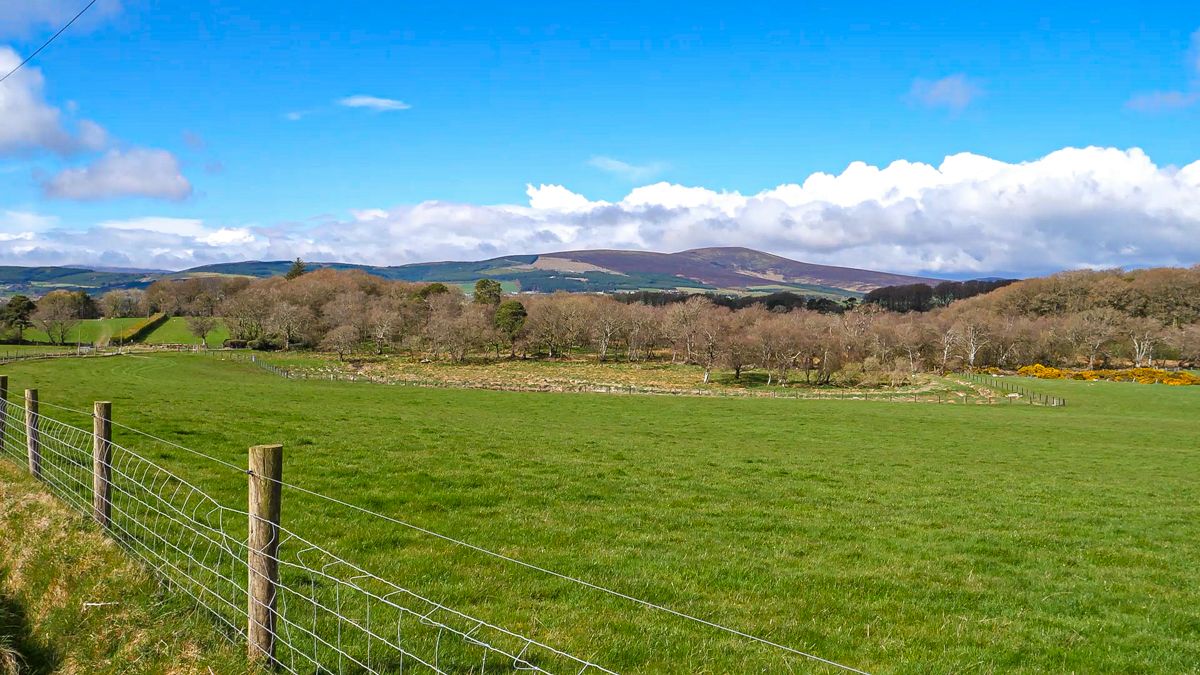 New CAP proposals described as 'effort to boost biodiversity'