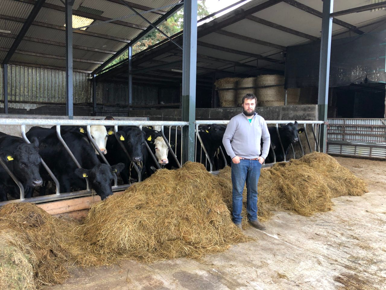How this young beef finisher is securing 20c/kg above market price