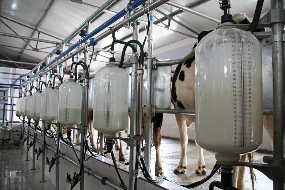 Ireland may have avoided the extremes of the dairy downturn, Department says