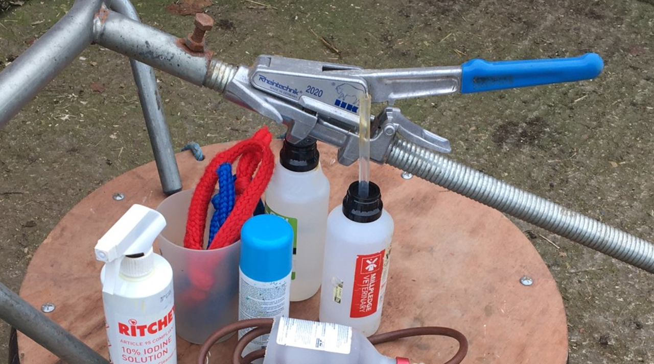 Ensure you have all necessary supplies before calving