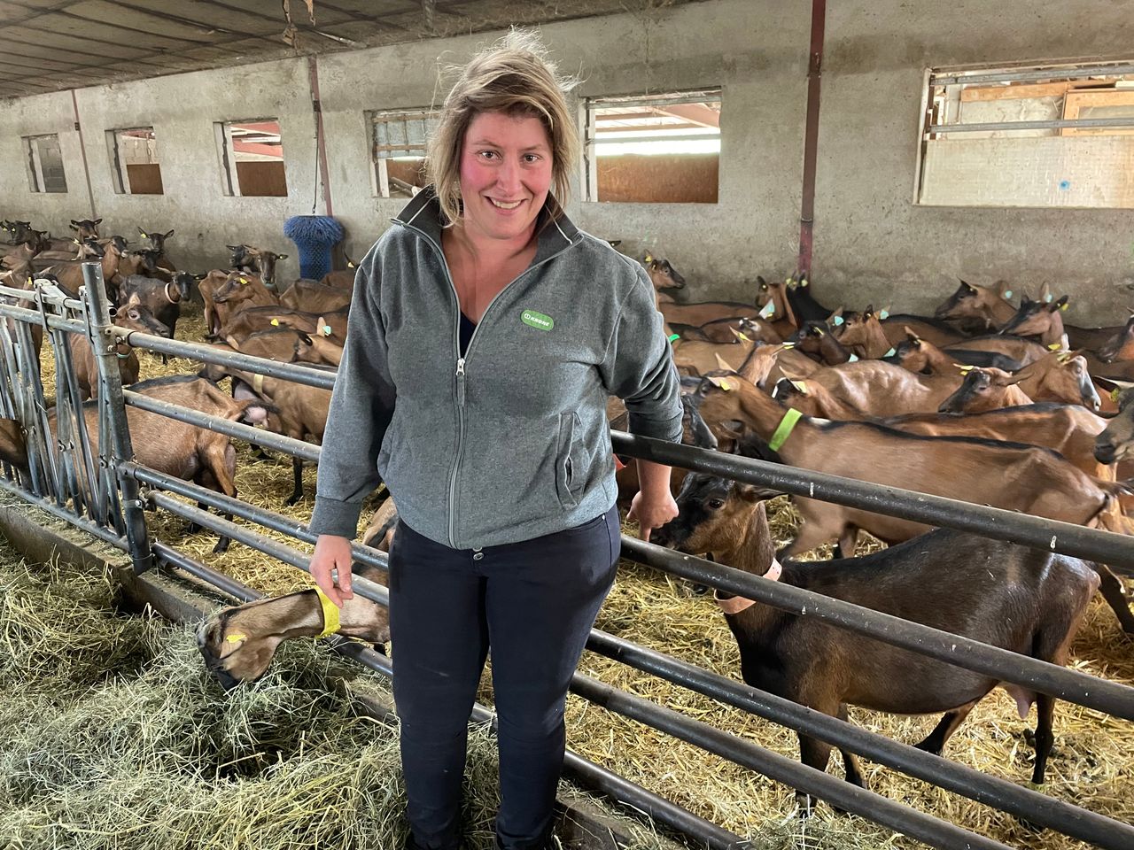 Receiving a 90c/L milk price on 250-goat farm in France