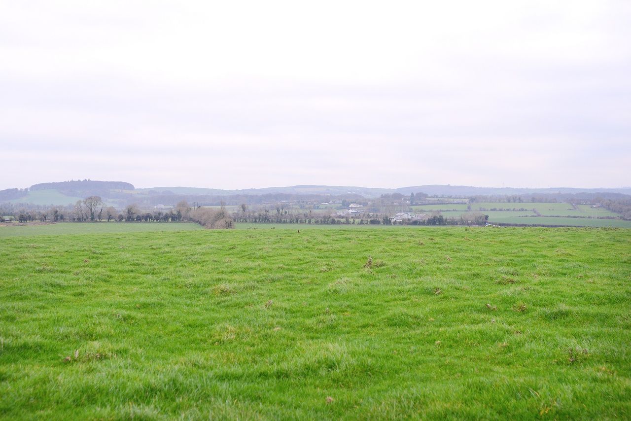Sinn Féin would leave farmers 'neglected and vulnerable' - TD