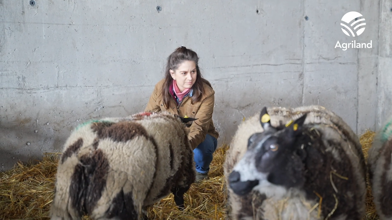 Diversifying the family farm | Groundbreakers