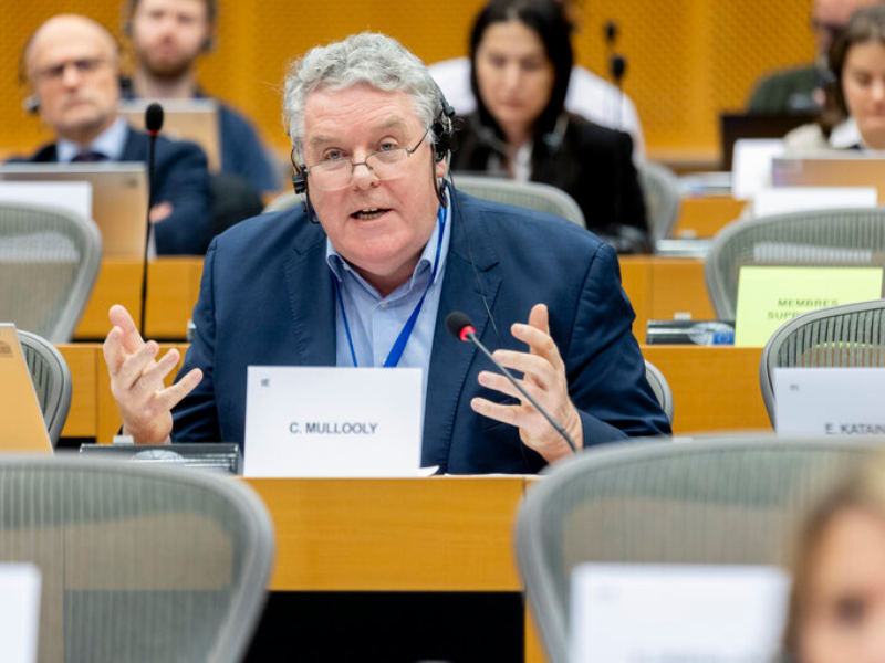 MEP urges Harris to reject 'rush through' of so-called Mercosur deal safeguards