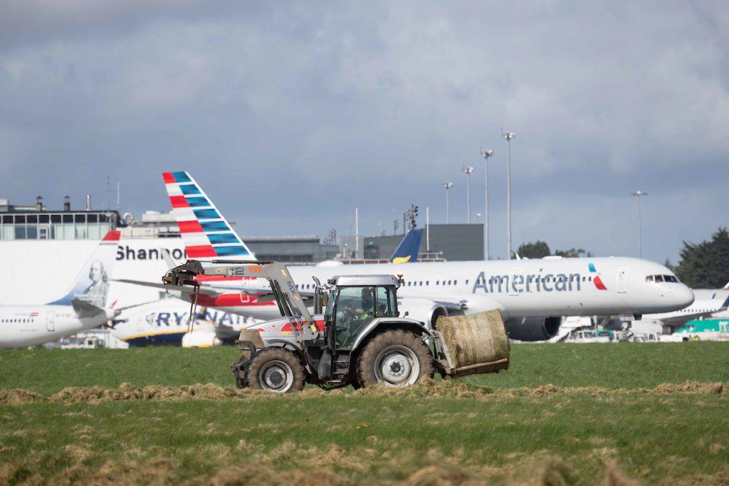 Department of Agriculture 'on airport alert' as ASF threat rises in Ireland