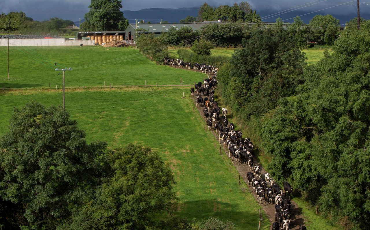Dairy focus: 'Taking simple steps which make a big difference' in Co. Waterford