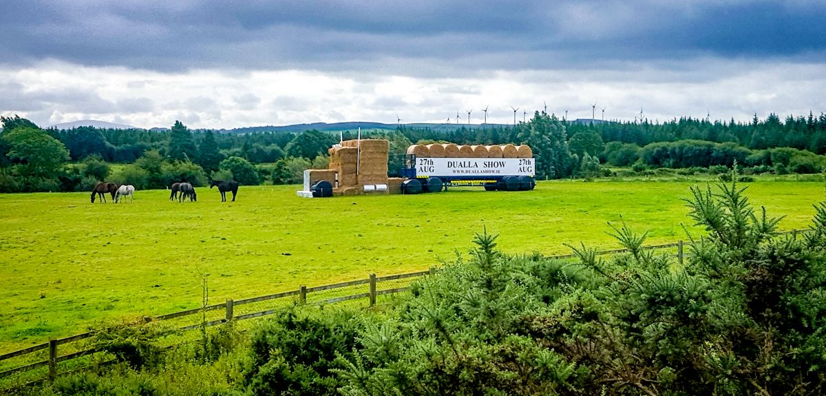Dualla Show puts spotlight on cattle classes