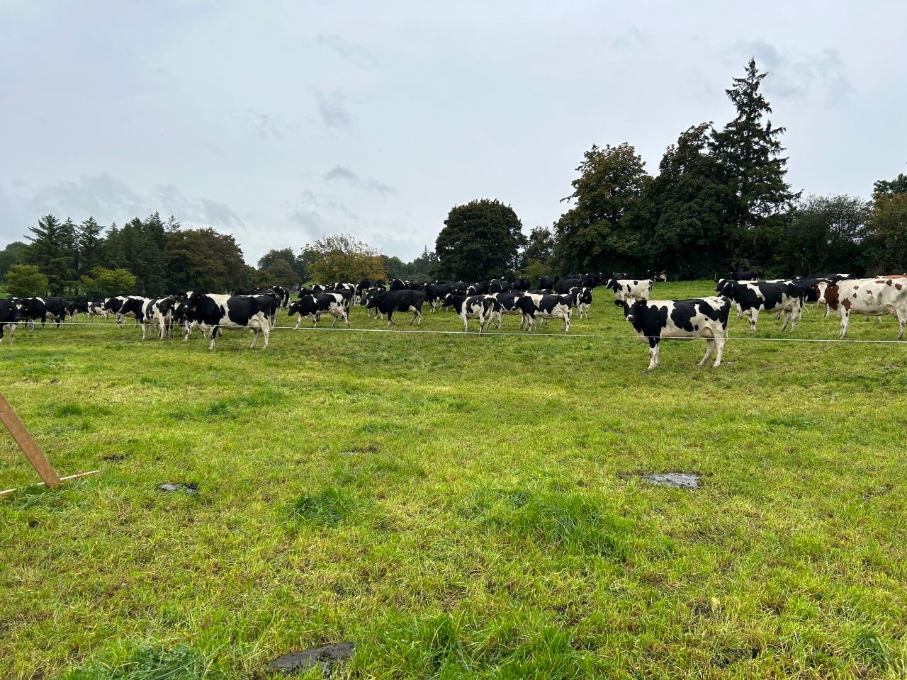 ICMSA urges DII to 'withdraw' proposal to focus on water quality in QA schemes