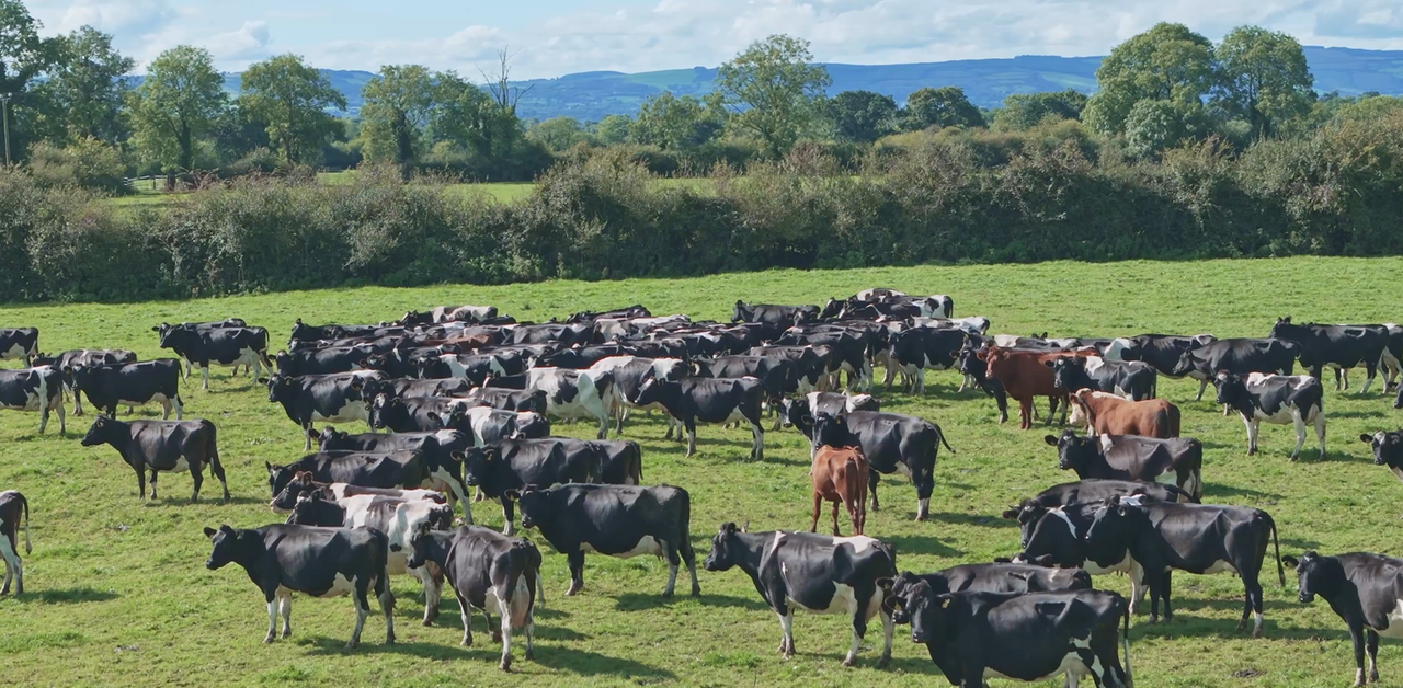 BioFarm 2026: Top grazing experts to share insights in Carlow