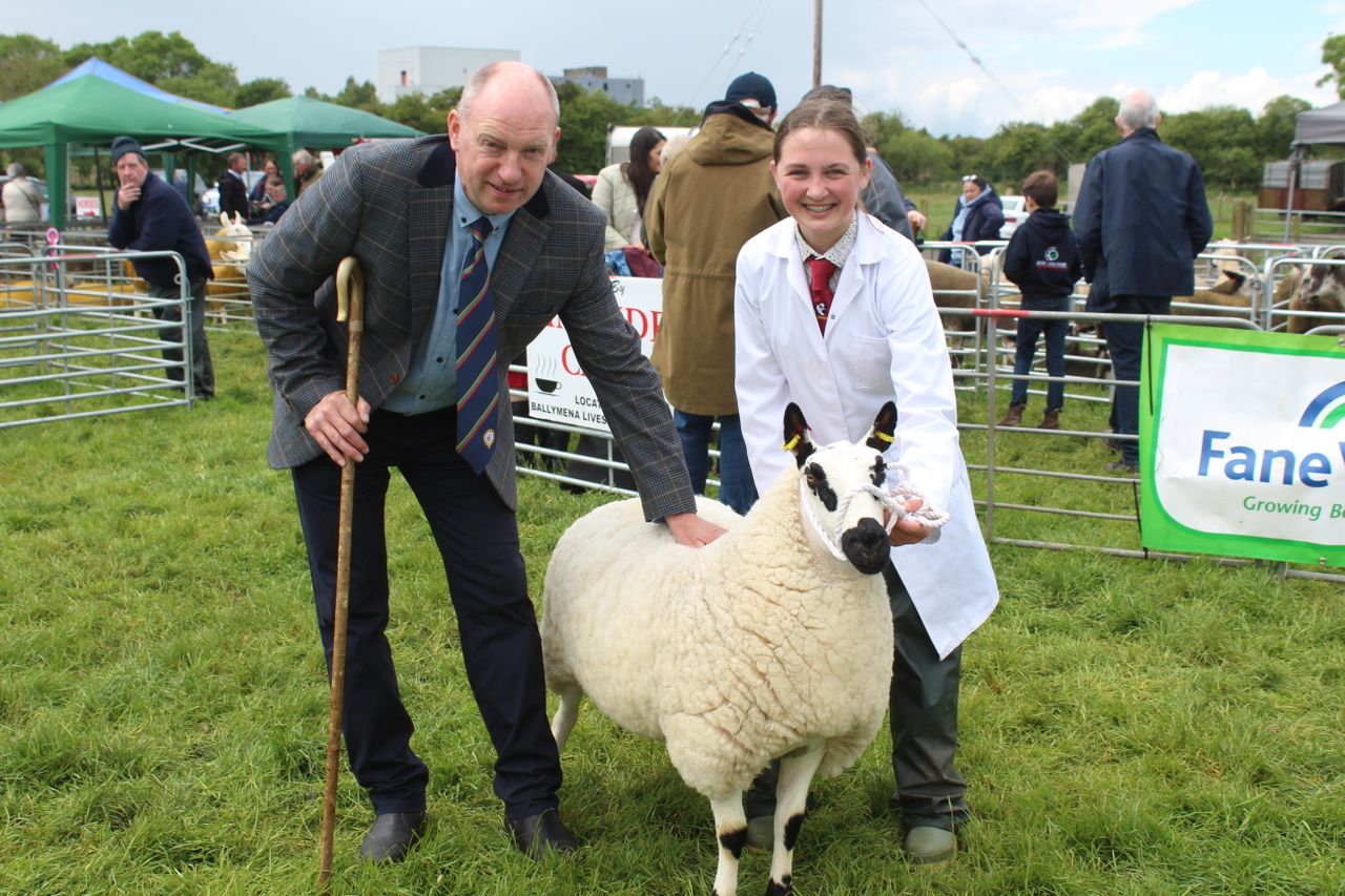 Impressive turnout of sheep at Ballymena Show 2024