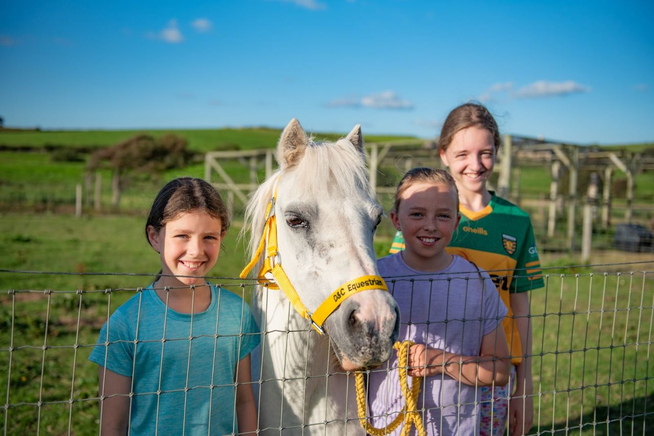 Donegal family's open farm thrives after TB outbreak