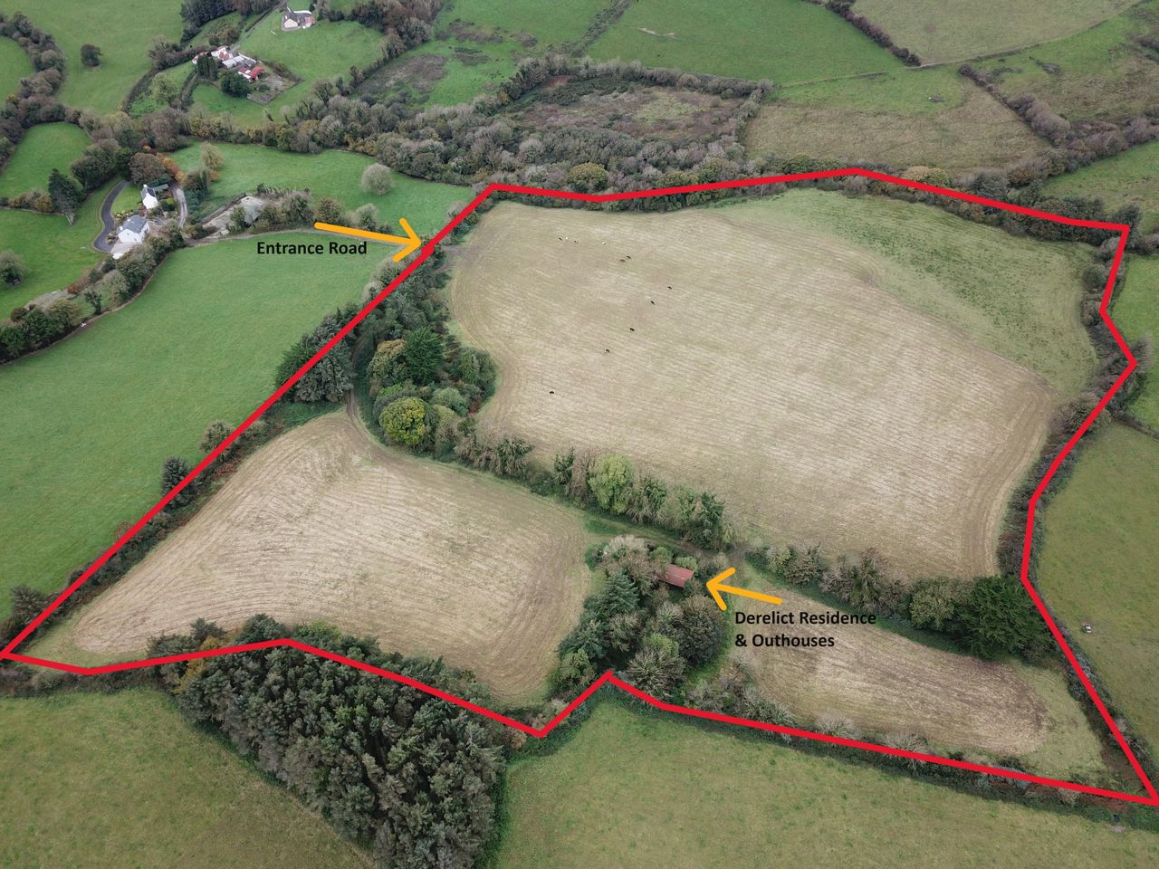 Compact holding in Kerry fetches over €15,000/ac