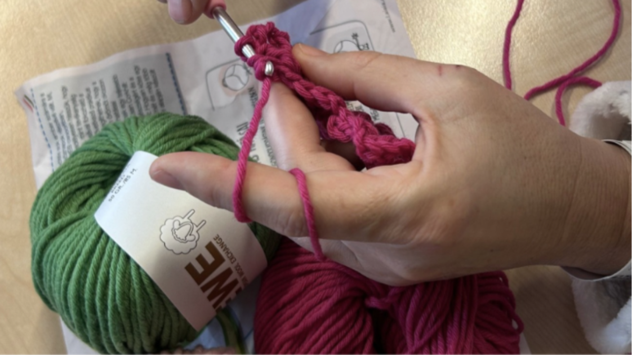 Tralee to celebrate European Wool Day with all-day event