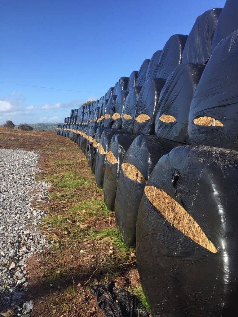 Overnight perpetrator leaves 111 bales slashed