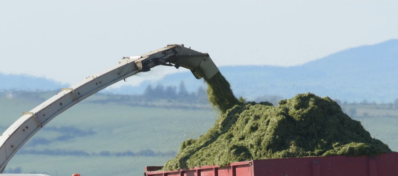 Letter to the editor: 'Contracting is not very profitable. Is this the final nail in the coffin?'
