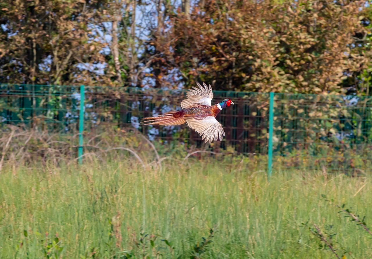 90% of assembly's recommendations on biodiversity 'in progress'