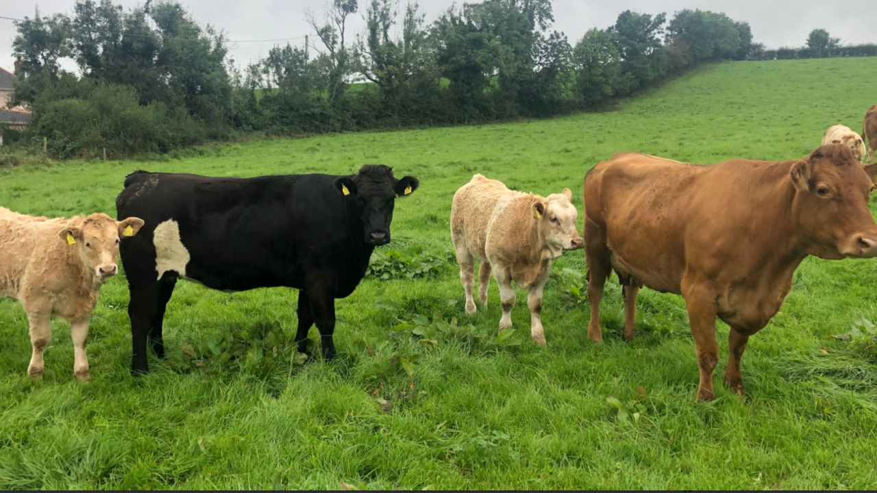 €47m in payments being issued to farmers in SCEP