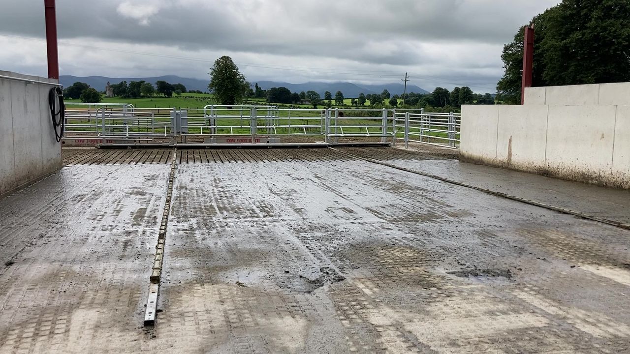 'No scientific reason why soiled water and slurry can't be stored together' - DAFM