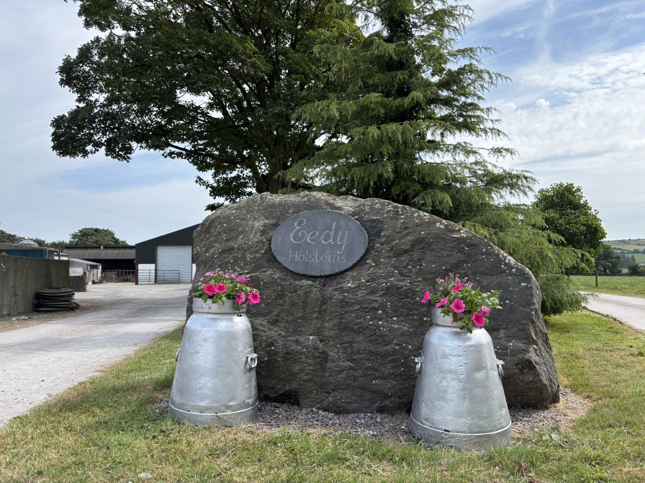 Dairy Focus: The farm behind Ireland's highest classified cow