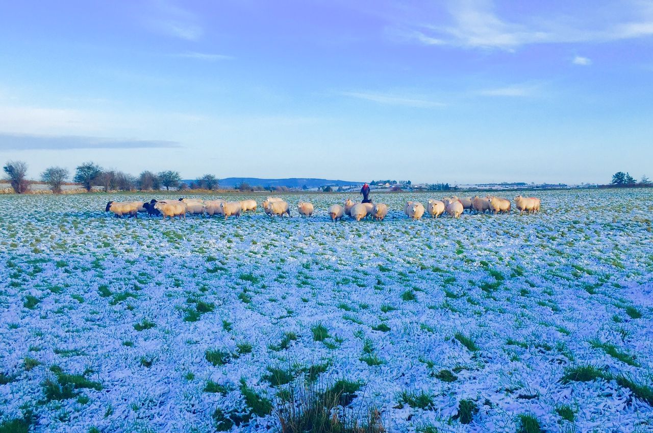 Weather to become milder from midweek - Met Eireann
