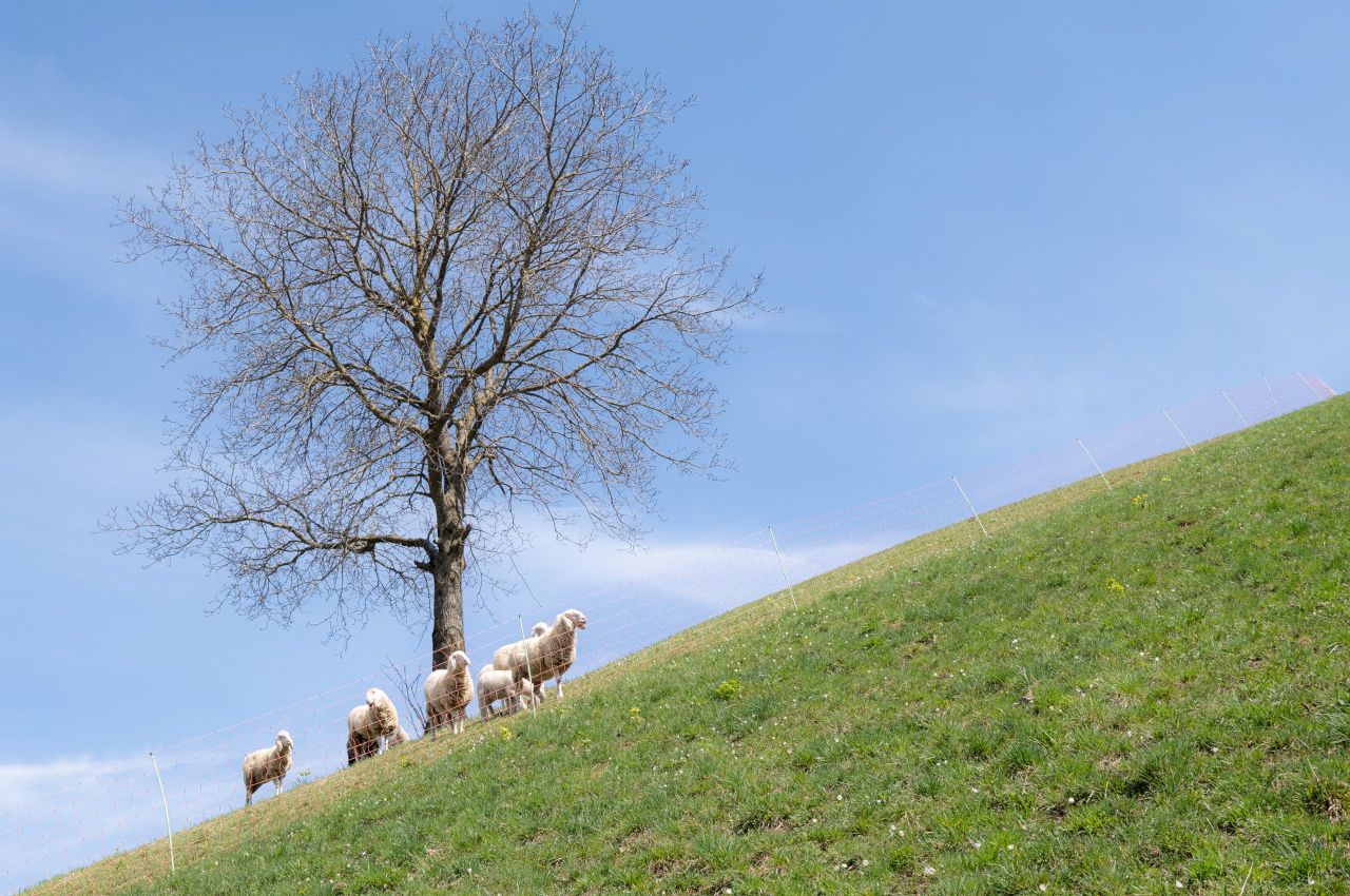 Is a new upland hill research farm on the horizon?