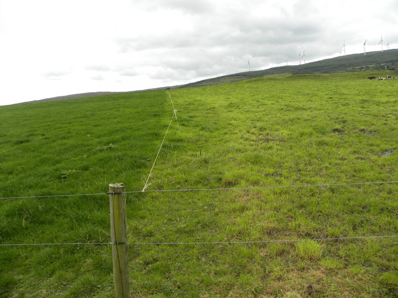 Grass advice for mid October – plan from here?