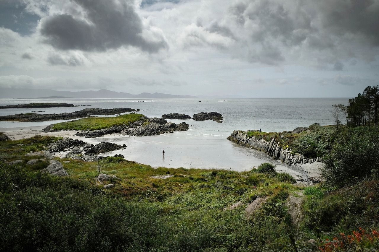 Nature Restoration Law: Where is it currently at?