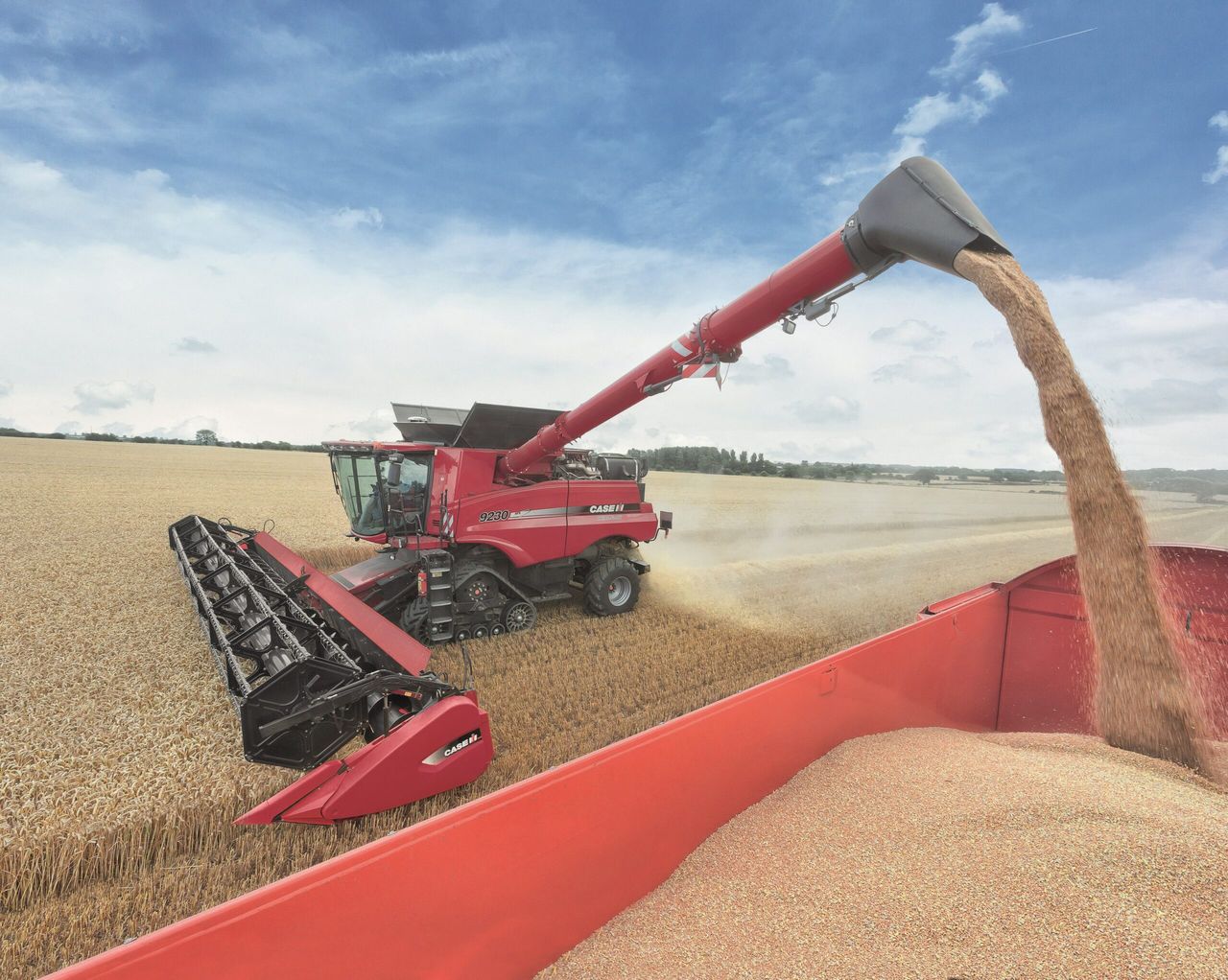 Support creeps into UK grain market