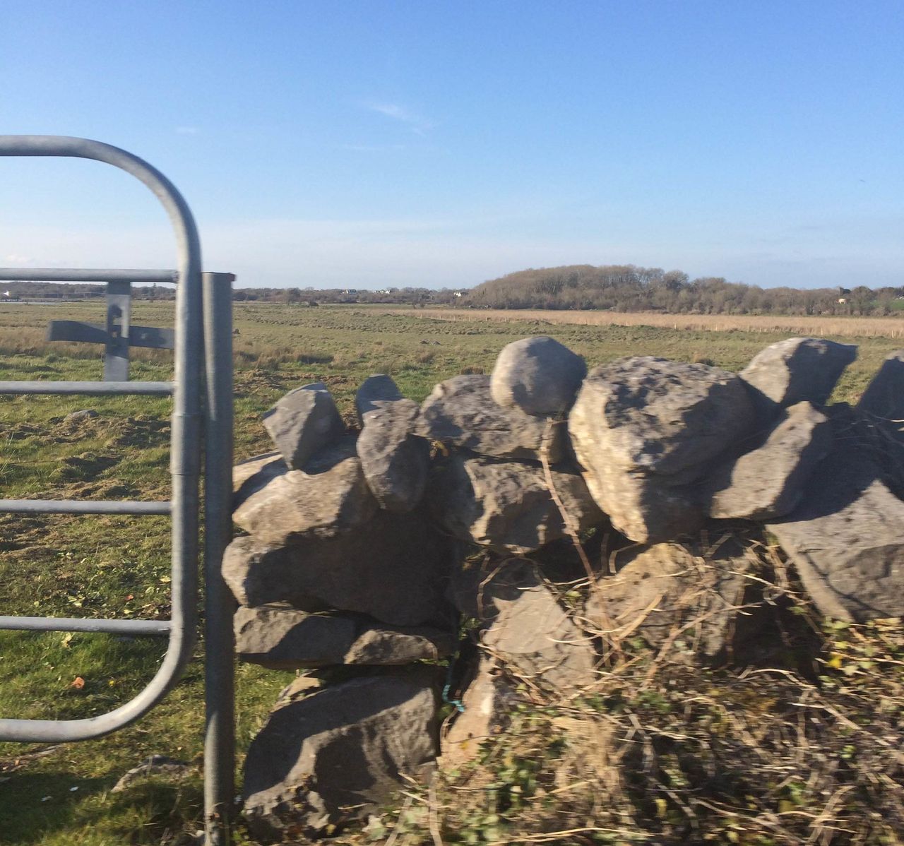 Department remains tight lipped over land eligibility appeals update