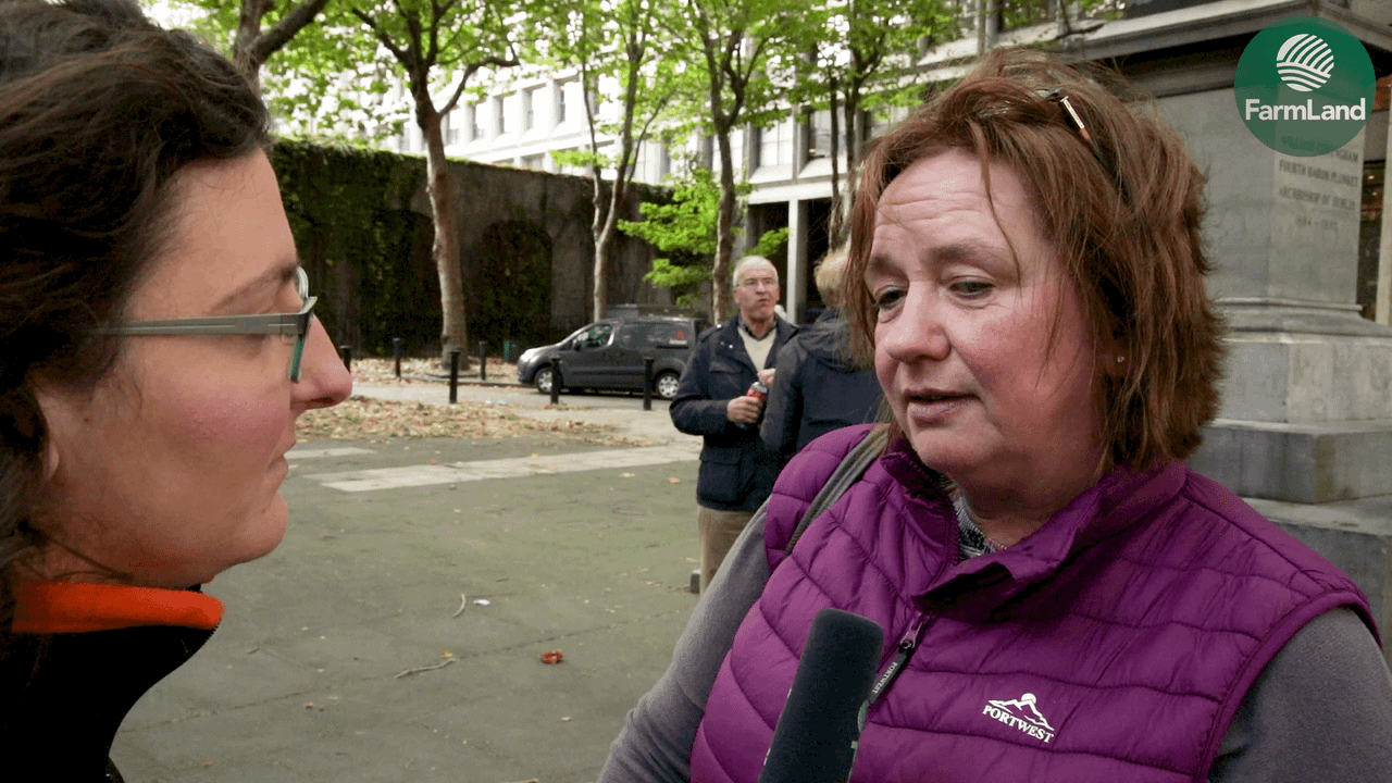Protest vox pop: 'Great, in-spec beef produced by an industry with no future'