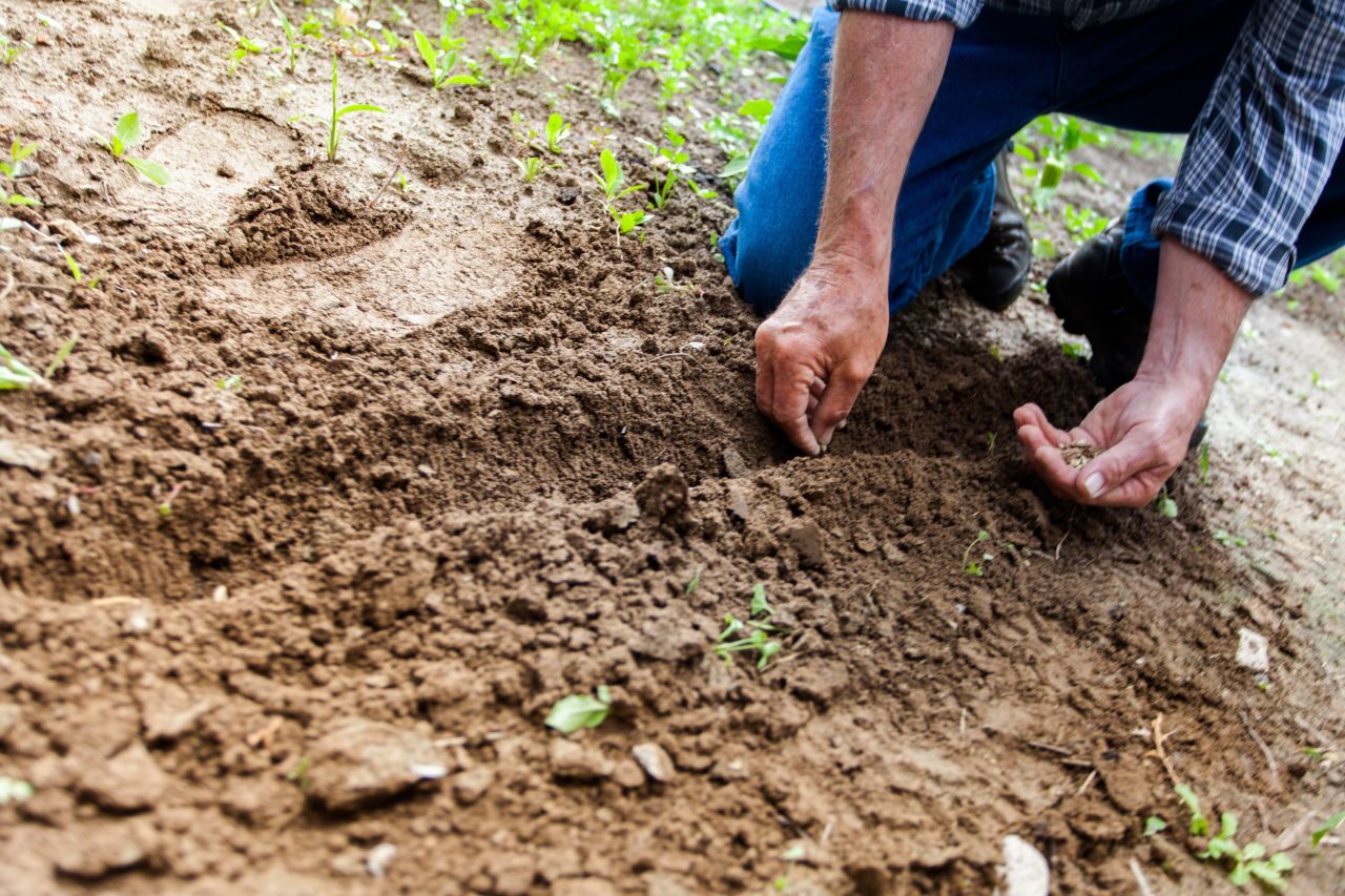 €40m to research plant varieties resistant to climate change