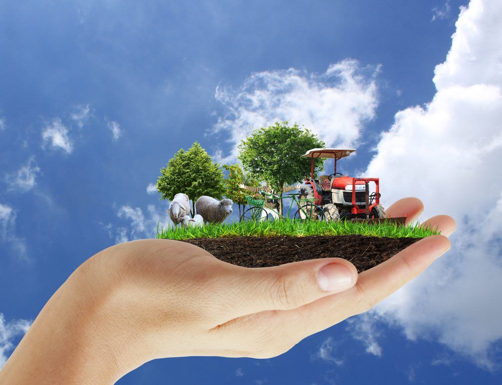Here's why the climate change talks in Paris are important to every Irish farmer