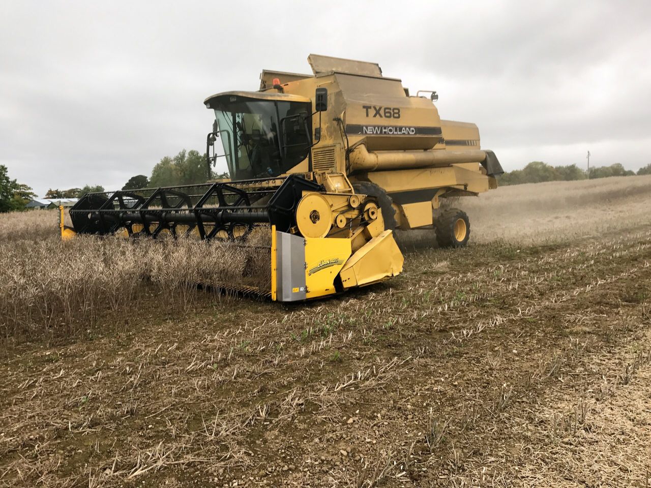 Tillage focus: Spring oilseed rape seed is providing a niche crop for tillage farmers