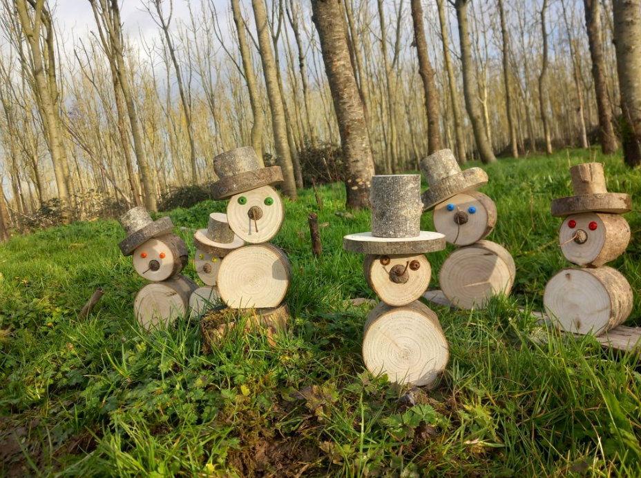 Deadline for forest photography competition extended