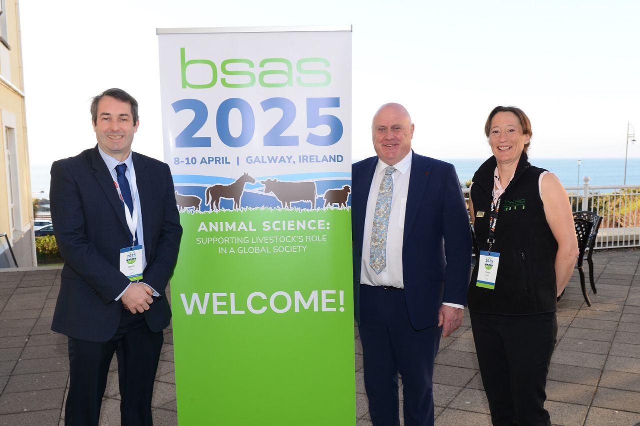 BSAS appoints new president