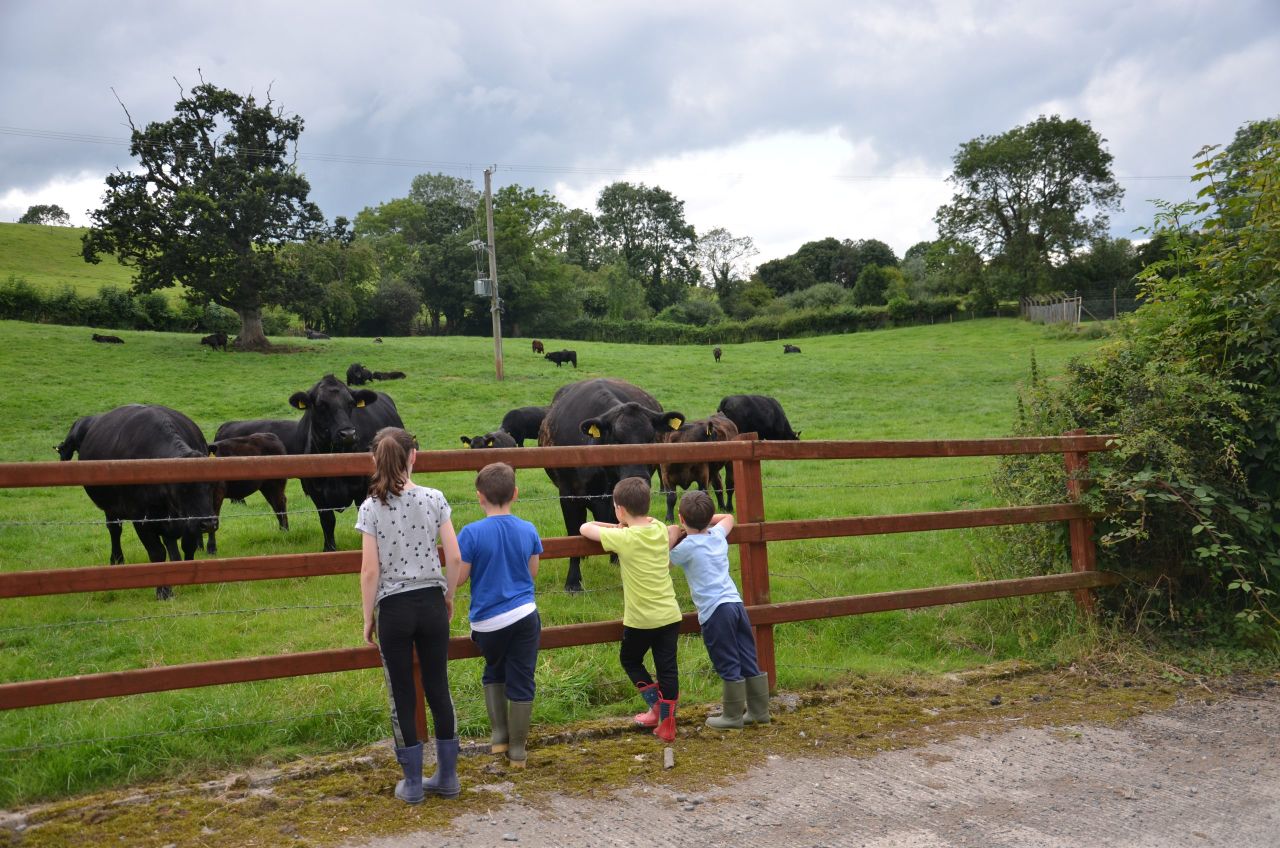 The simple steps to protect children on farms this summer - HSENI