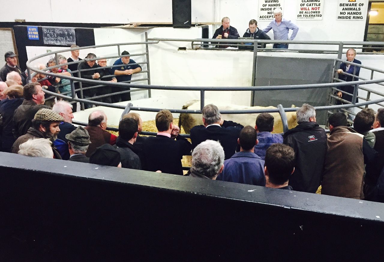 'Dramatic increase in insurance premiums threatens survival of marts'
