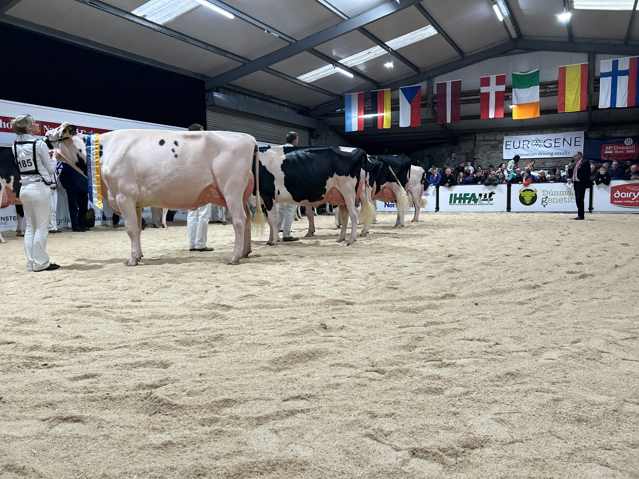 Eedy Holsteins claim AXA National Dairy Show title