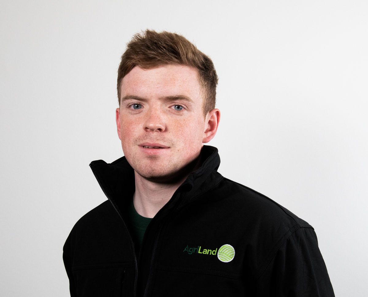 AgriLand appoints new beef specialist