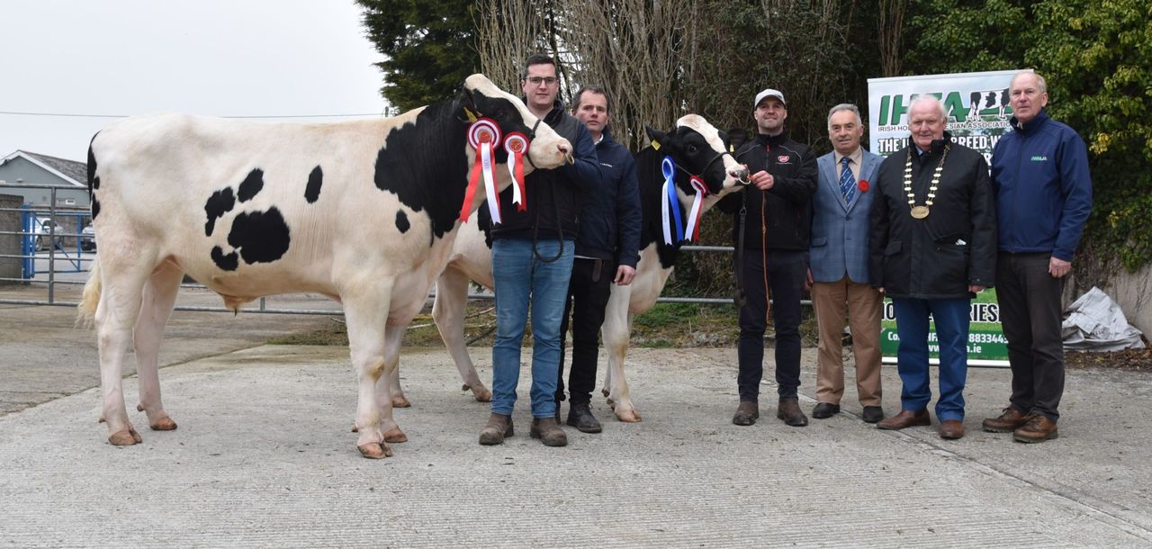IHFA premier bull sale achieves top price of €5,000